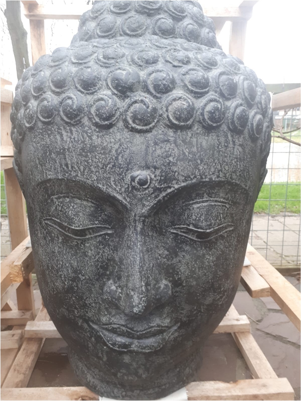 Koe pin Grote waanidee Boeddha hoofd XXL | 100cm hoog, 63cm breed - Ibiza Sfeer